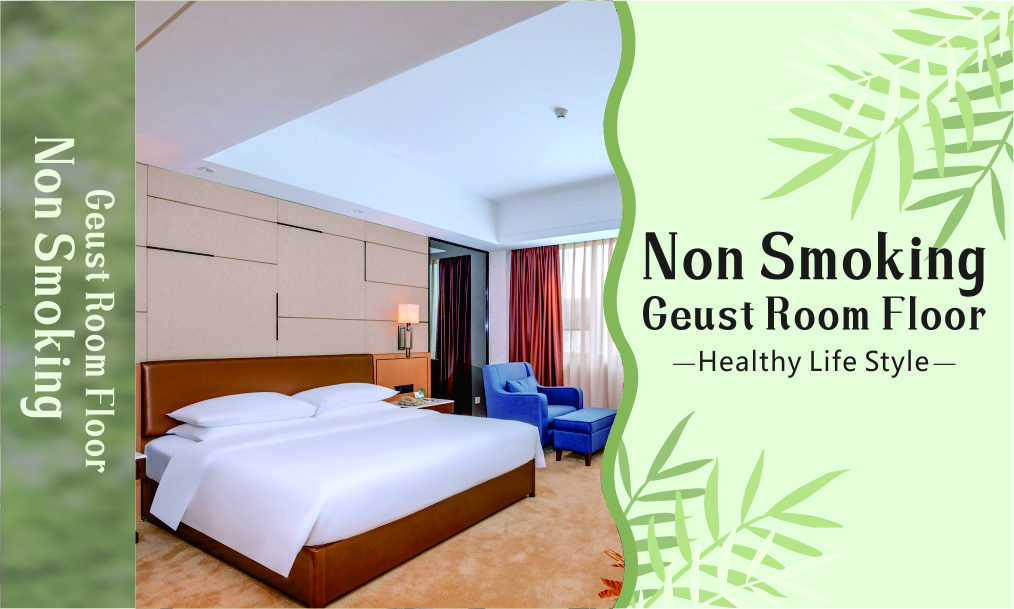 THE Non Smoking Guest Room